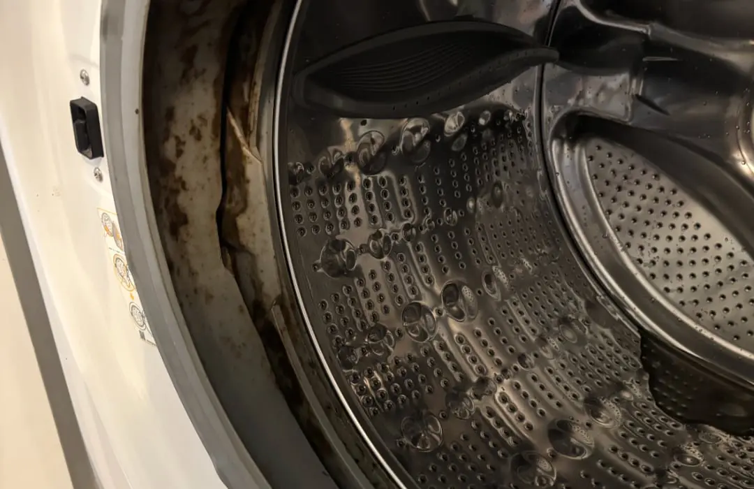 Washer Dirty